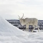 Hotel Thon Kautokeino