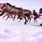 Thon Kautokeino