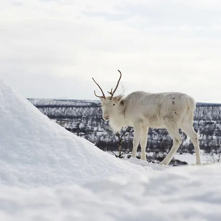 Hotel Thon Kautokeino