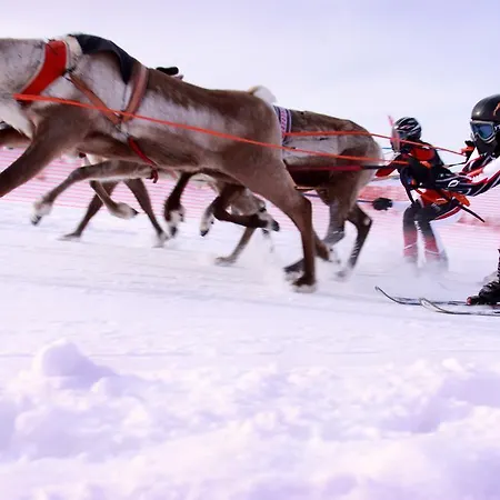 Thon Kautokeino